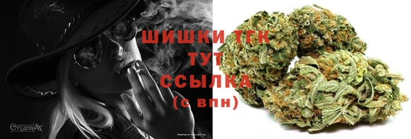 амф Верея