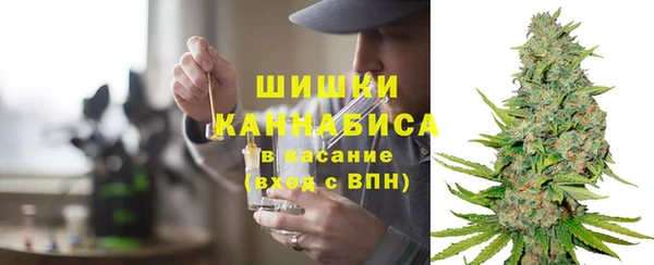 амф Верея