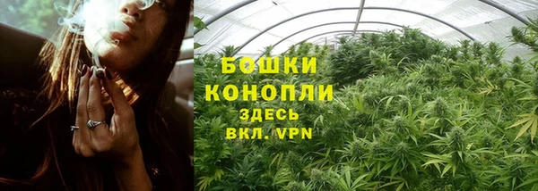 амф Верея